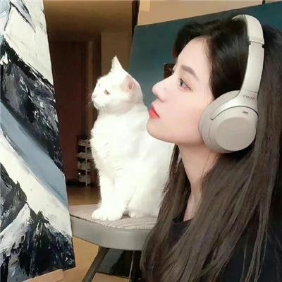 魅力四射3